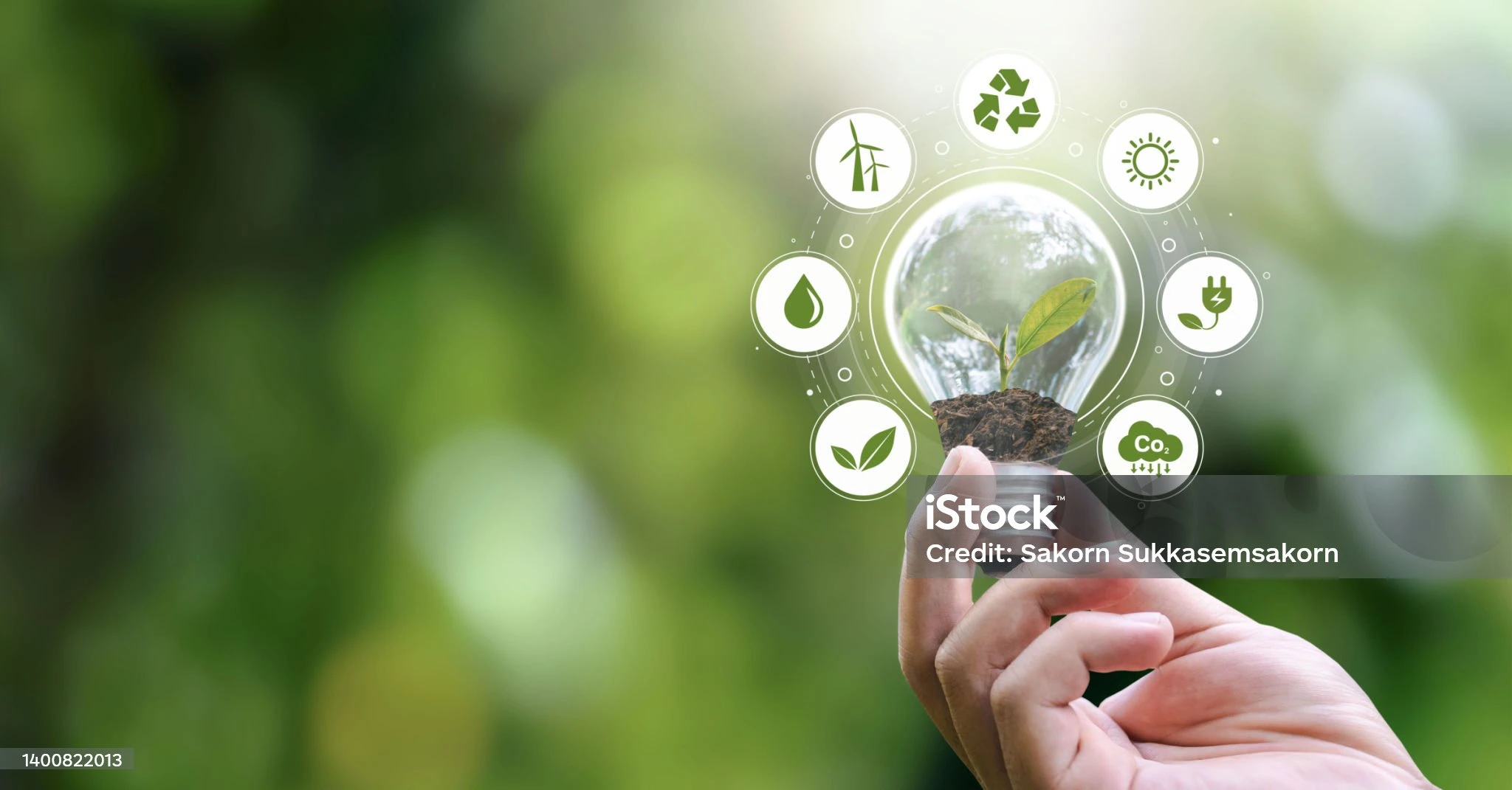 sustainability